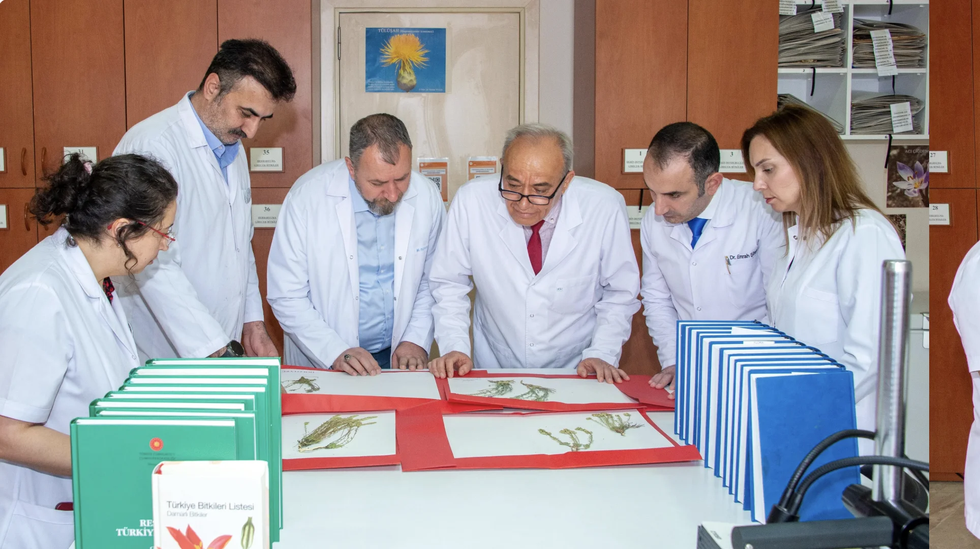 Fakültemiz Akademisyenleri 4 Yeni Bitki Türü Keşfetti
